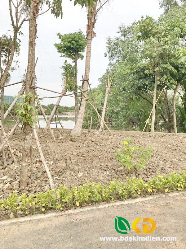 Bán lô đất thổ cư 100%  Quốc lộ 50 Bình Chánh.