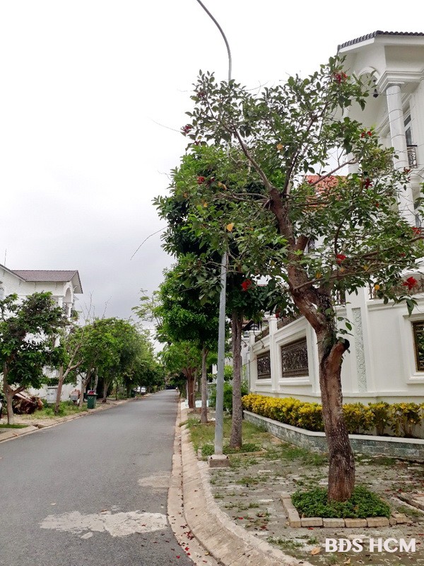 Bán lô đất mặt tiền đường số 3 Phường Phú Thuận Quận 7.